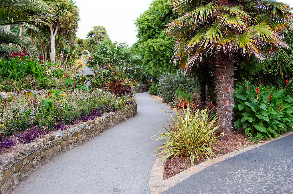 Discovering Ventnor Botanic Garden A Hidden Gem On The Isle Of Wight discovering-ventnor-botanic-garden-a-hidden-gem-on-the-isle-of-wight